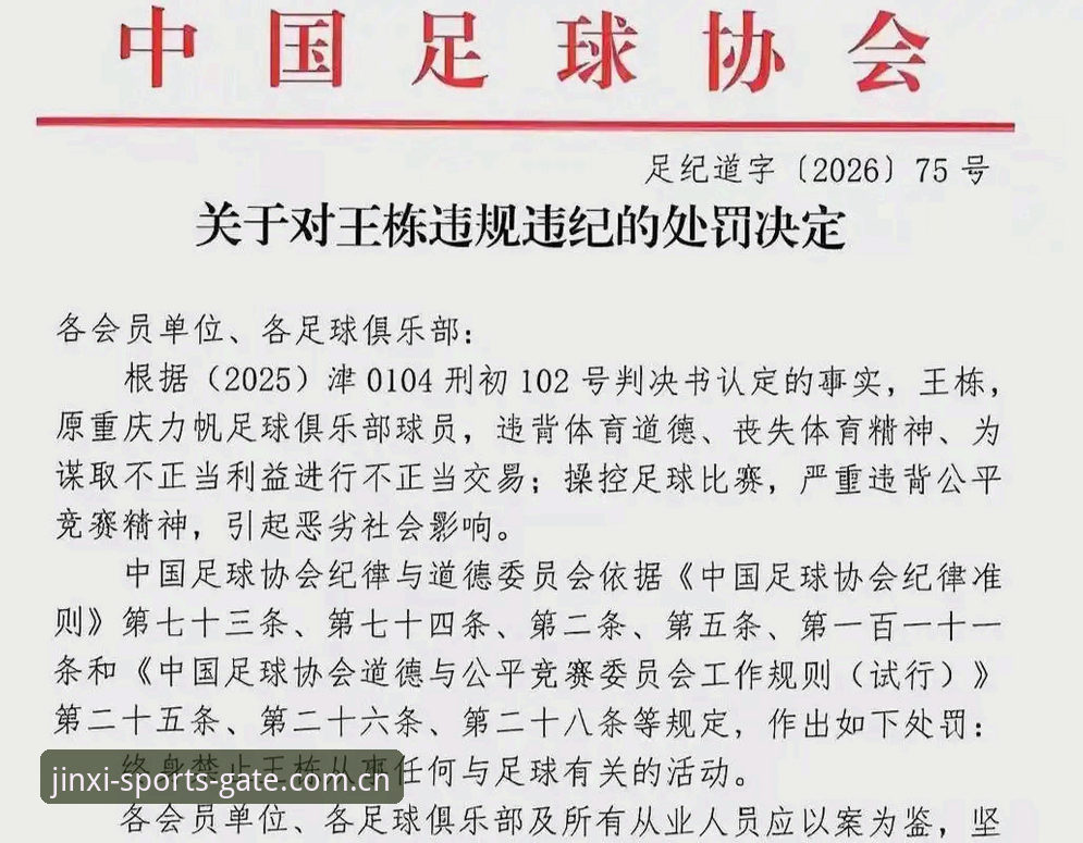 金喜体育官网入口怎么下载 足协三批禁足名单深度分析:从深圳到新疆,中国足球治理的深层逻辑与数据追踪新趋势